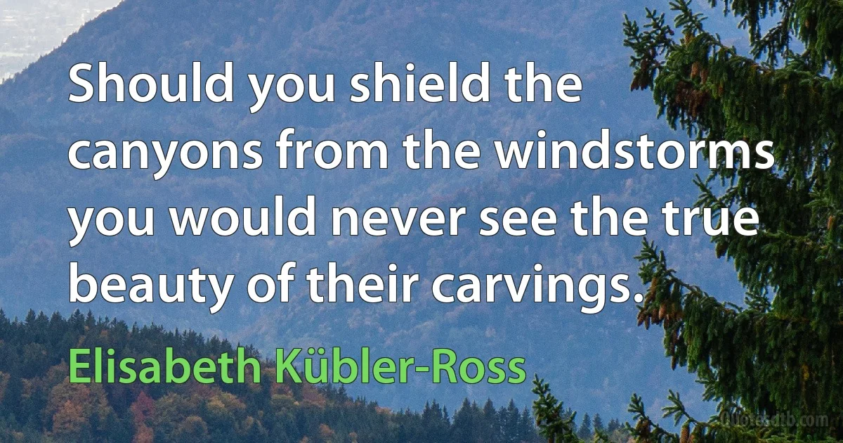 Should you shield the canyons from the windstorms you would never see the true beauty of their carvings. (Elisabeth Kübler-Ross)