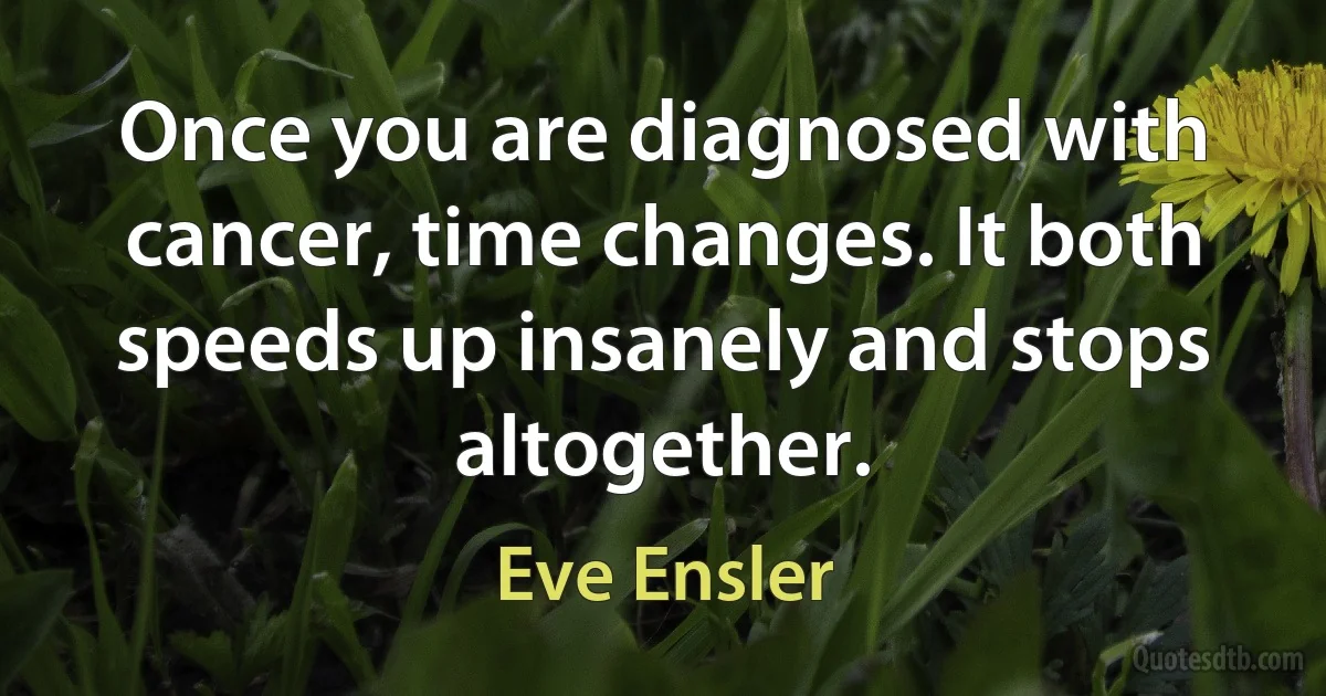 Once you are diagnosed with cancer, time changes. It both speeds up insanely and stops altogether. (Eve Ensler)