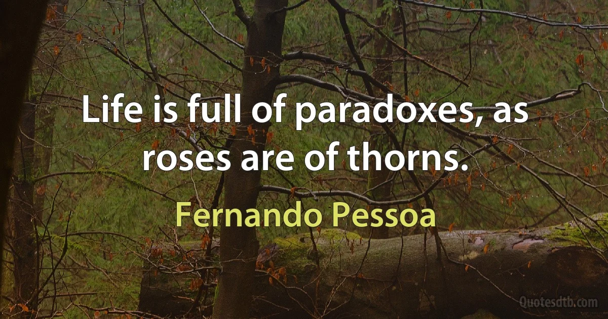 Life is full of paradoxes, as roses are of thorns. (Fernando Pessoa)