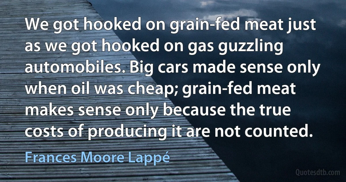 We got hooked on grain-fed meat just as we got hooked on gas guzzling automobiles. Big cars made sense only when oil was cheap; grain-fed meat makes sense only because the true costs of producing it are not counted. (Frances Moore Lappé)