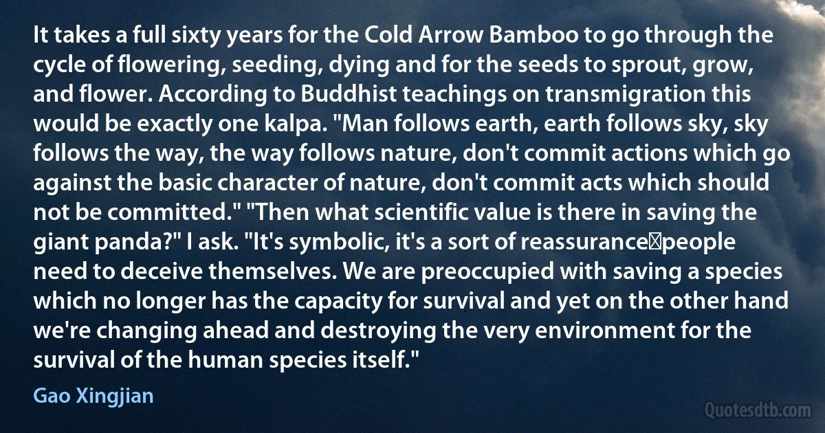 It takes a full sixty years for the Cold Arrow Bamboo to go through the cycle of flowering, seeding, dying and for the seeds to sprout, grow, and flower. According to Buddhist teachings on transmigration this would be exactly one kalpa. "Man follows earth, earth follows sky, sky follows the way, the way follows nature, don't commit actions which go against the basic character of nature, don't commit acts which should not be committed." "Then what scientific value is there in saving the giant panda?" I ask. "It's symbolic, it's a sort of reassurance―people need to deceive themselves. We are preoccupied with saving a species which no longer has the capacity for survival and yet on the other hand we're changing ahead and destroying the very environment for the survival of the human species itself." (Gao Xingjian)