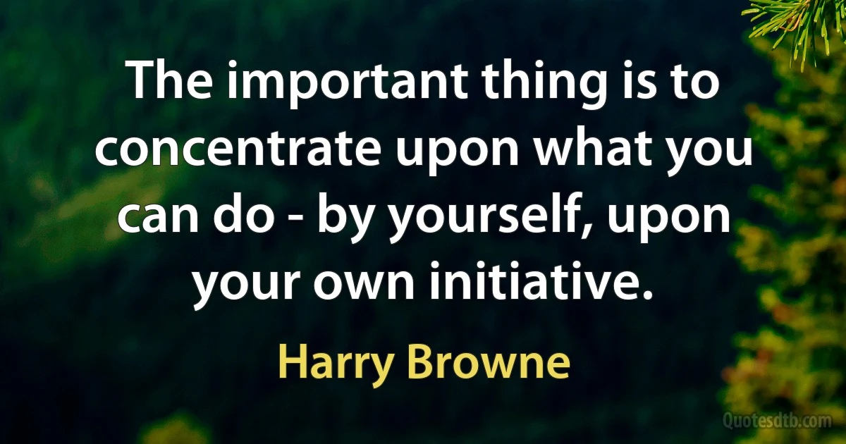 The important thing is to concentrate upon what you can do - by yourself, upon your own initiative. (Harry Browne)