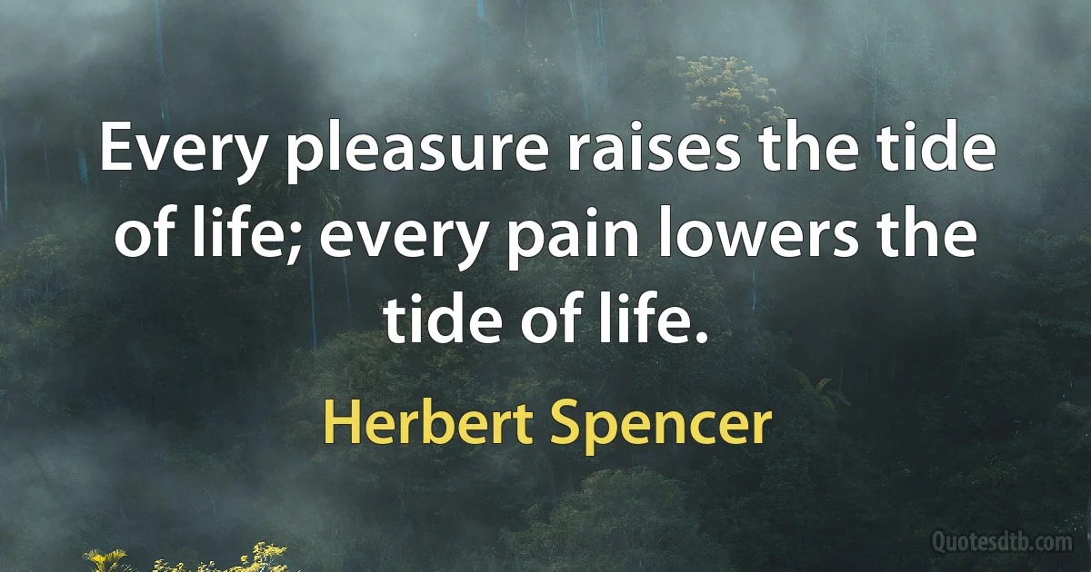 Every pleasure raises the tide of life; every pain lowers the tide of life. (Herbert Spencer)