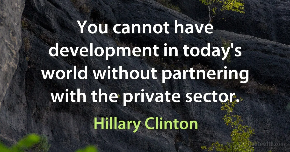 You cannot have development in today's world without partnering with the private sector. (Hillary Clinton)