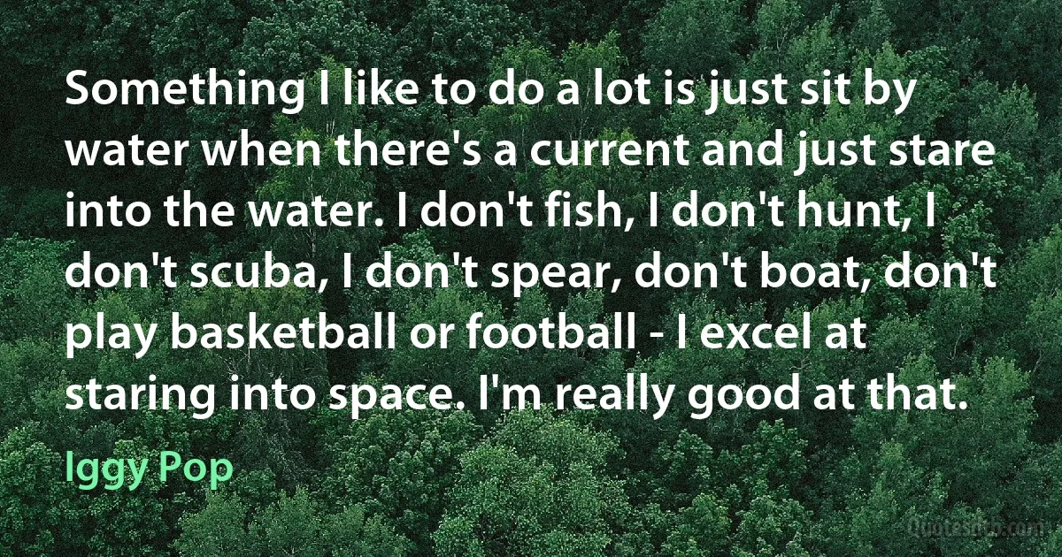 Something I like to do a lot is just sit by water when there's a current and just stare into the water. I don't fish, I don't hunt, I don't scuba, I don't spear, don't boat, don't play basketball or football - I excel at staring into space. I'm really good at that. (Iggy Pop)