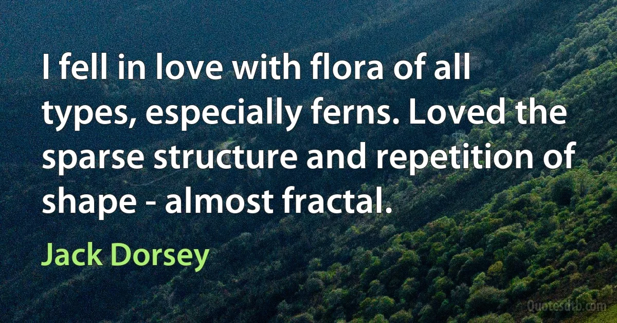 I fell in love with flora of all types, especially ferns. Loved the sparse structure and repetition of shape - almost fractal. (Jack Dorsey)