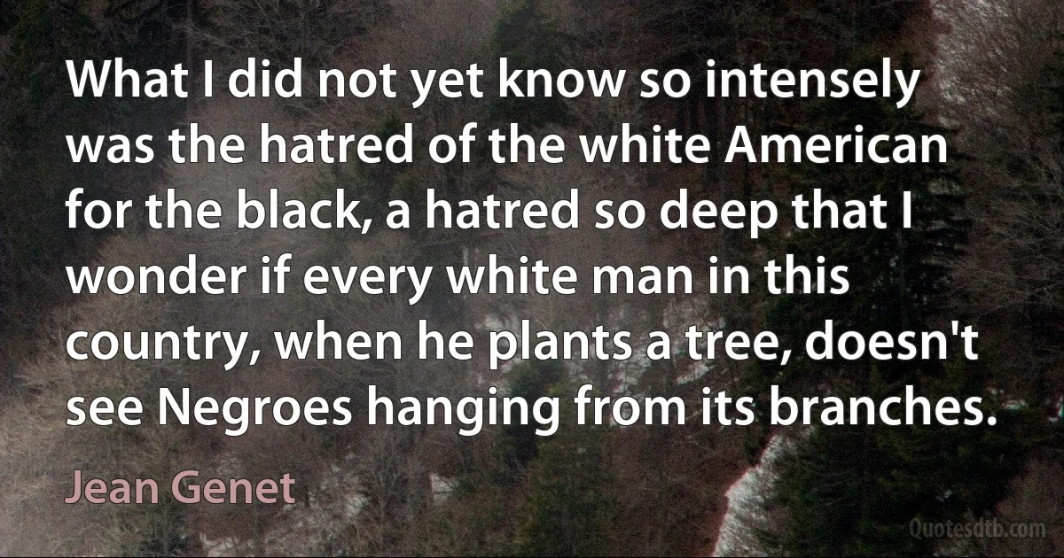 What I did not yet know so intensely was the hatred of the white American for the black, a hatred so deep that I wonder if every white man in this country, when he plants a tree, doesn't see Negroes hanging from its branches. (Jean Genet)