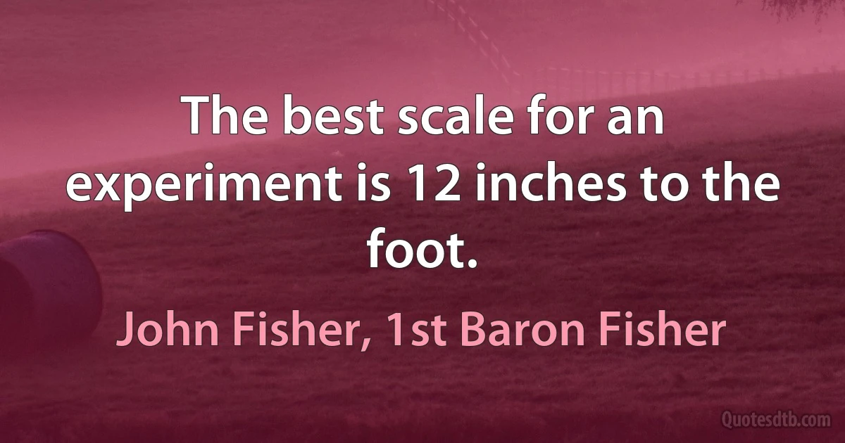 The best scale for an experiment is 12 inches to the foot. (John Fisher, 1st Baron Fisher)