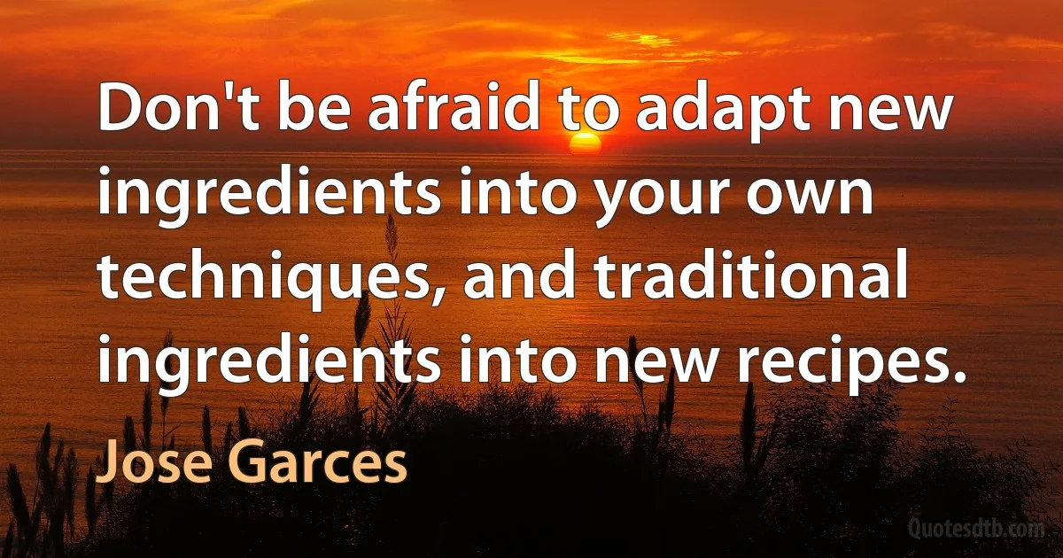 Don't be afraid to adapt new ingredients into your own techniques, and traditional ingredients into new recipes. (Jose Garces)