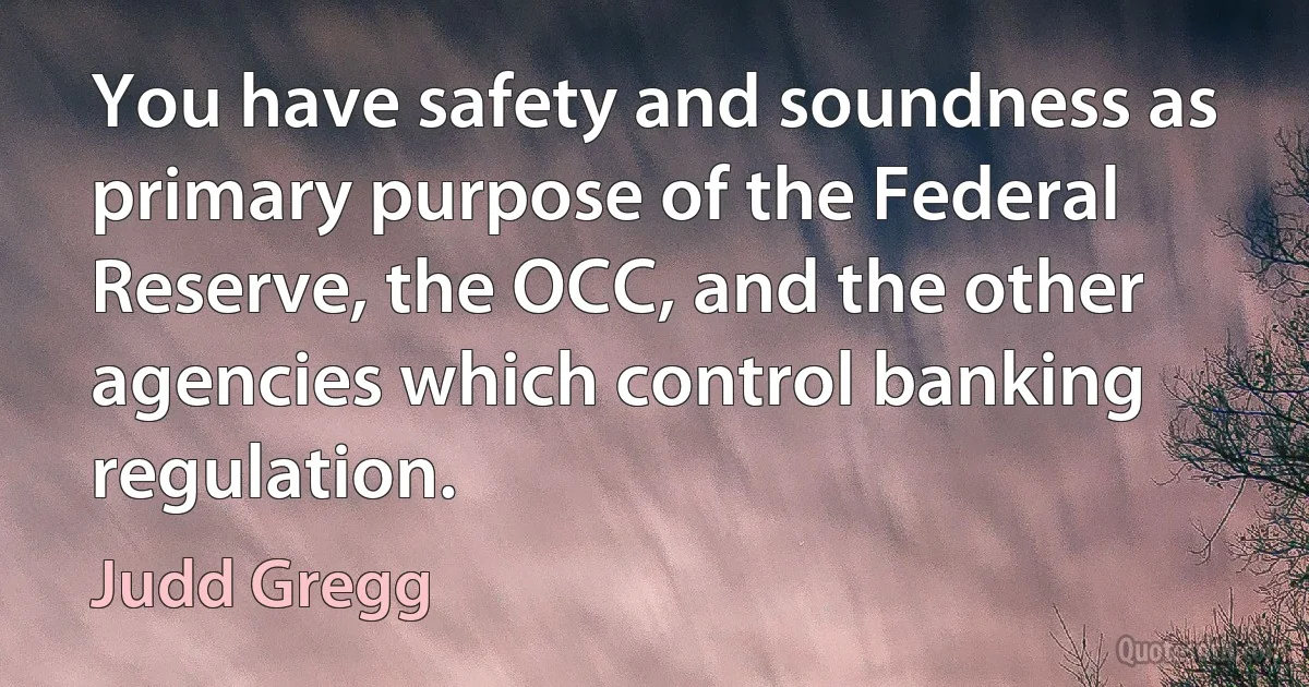 You have safety and soundness as primary purpose of the Federal Reserve, the OCC, and the other agencies which control banking regulation. (Judd Gregg)