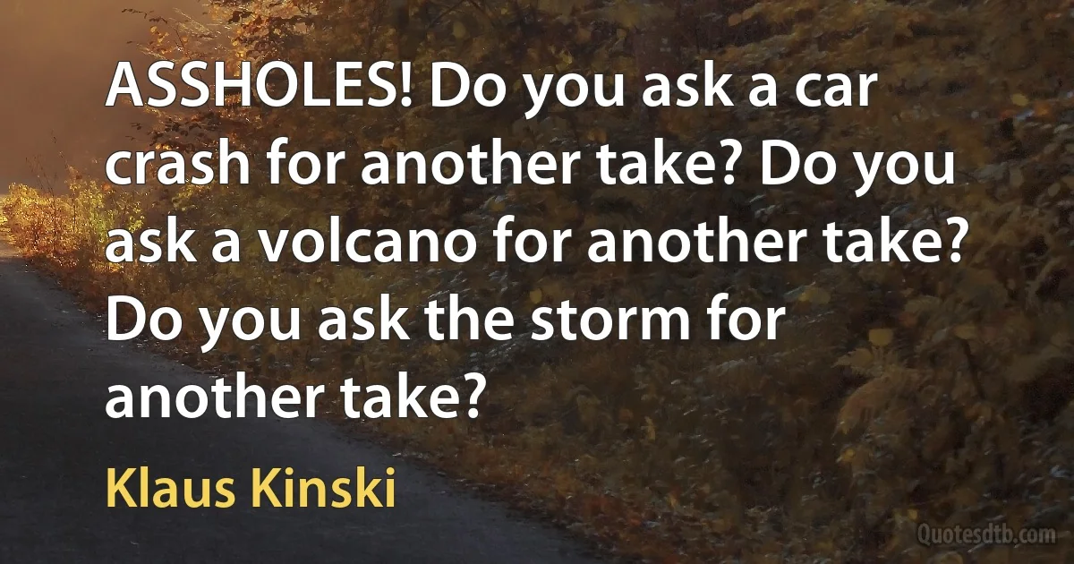 ASSHOLES! Do you ask a car crash for another take? Do you ask a volcano for another take? Do you ask the storm for another take? (Klaus Kinski)