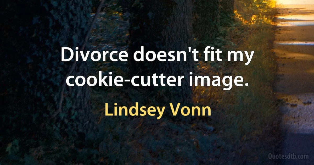 Divorce doesn't fit my cookie-cutter image. (Lindsey Vonn)