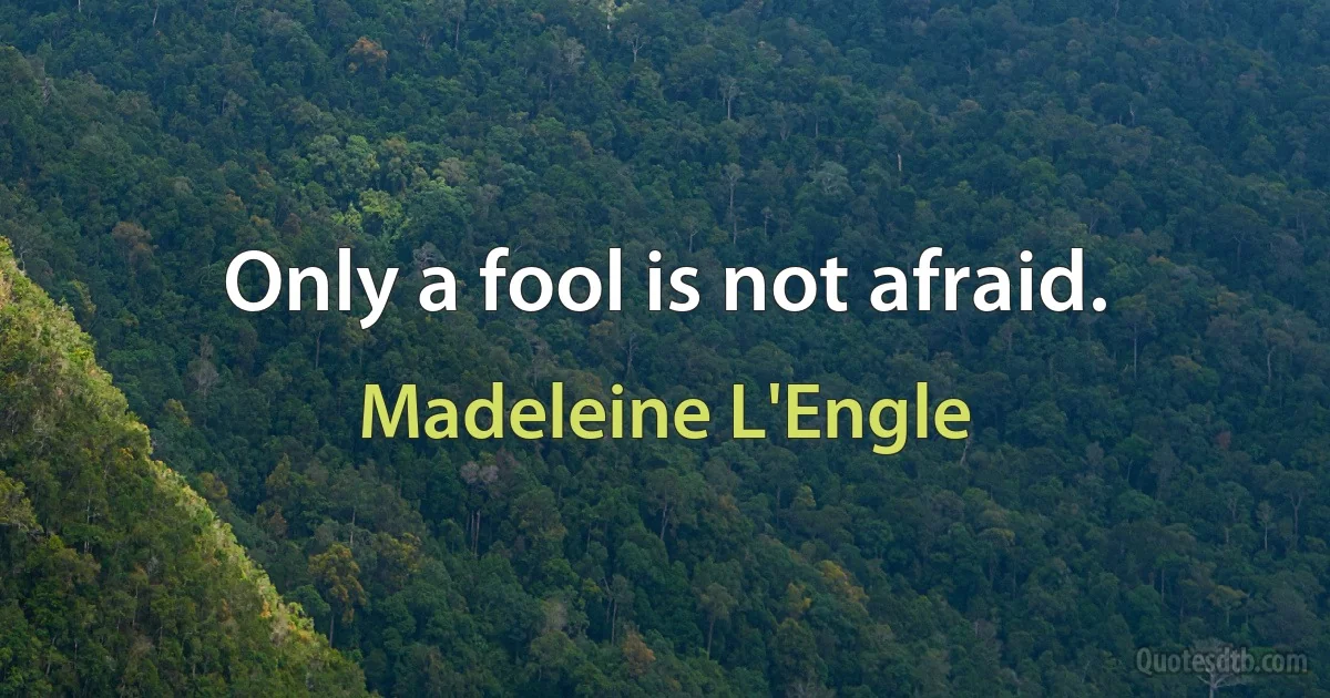 Only a fool is not afraid. (Madeleine L'Engle)