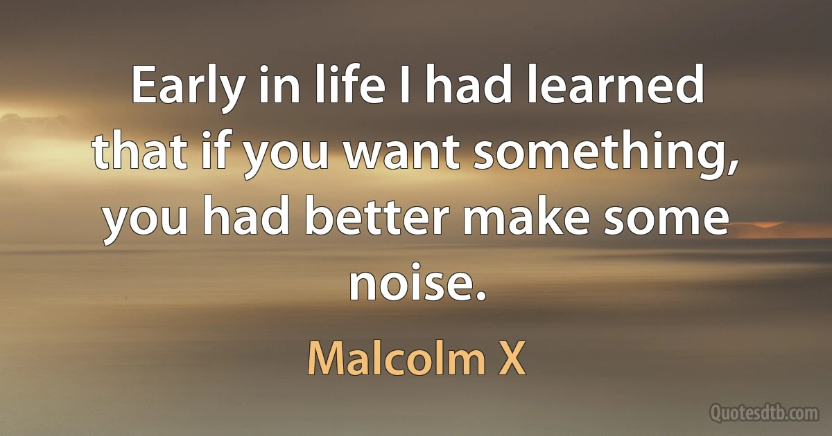 Early in life I had learned that if you want something, you had better make some noise. (Malcolm X)