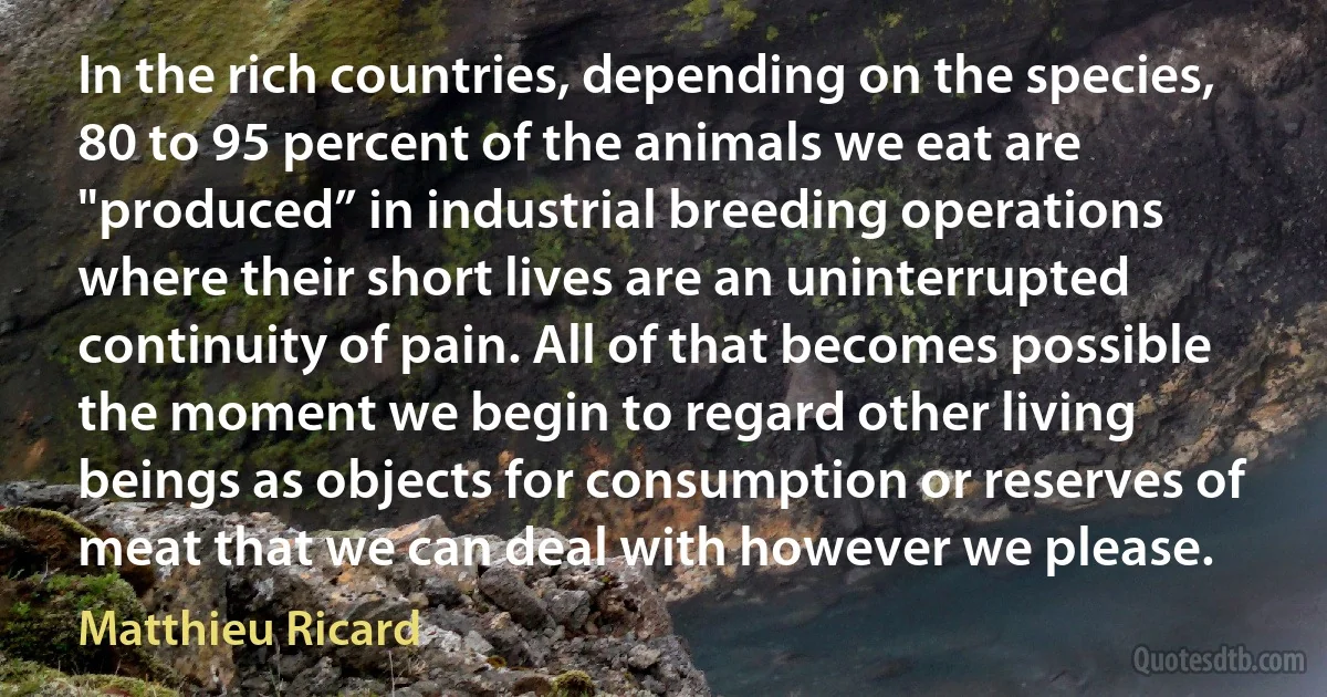 In the rich countries, depending on the species, 80 to 95 percent of the animals we eat are "produced” in industrial breeding operations where their short lives are an uninterrupted continuity of pain. All of that becomes possible the moment we begin to regard other living beings as objects for consumption or reserves of meat that we can deal with however we please. (Matthieu Ricard)