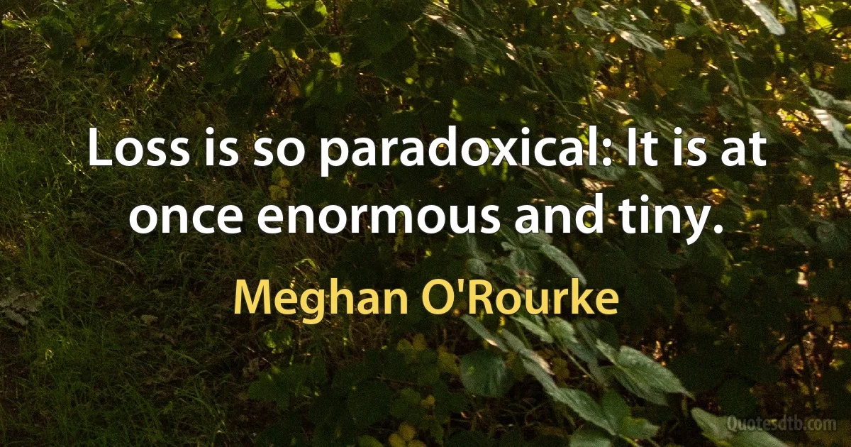 Loss is so paradoxical: It is at once enormous and tiny. (Meghan O'Rourke)