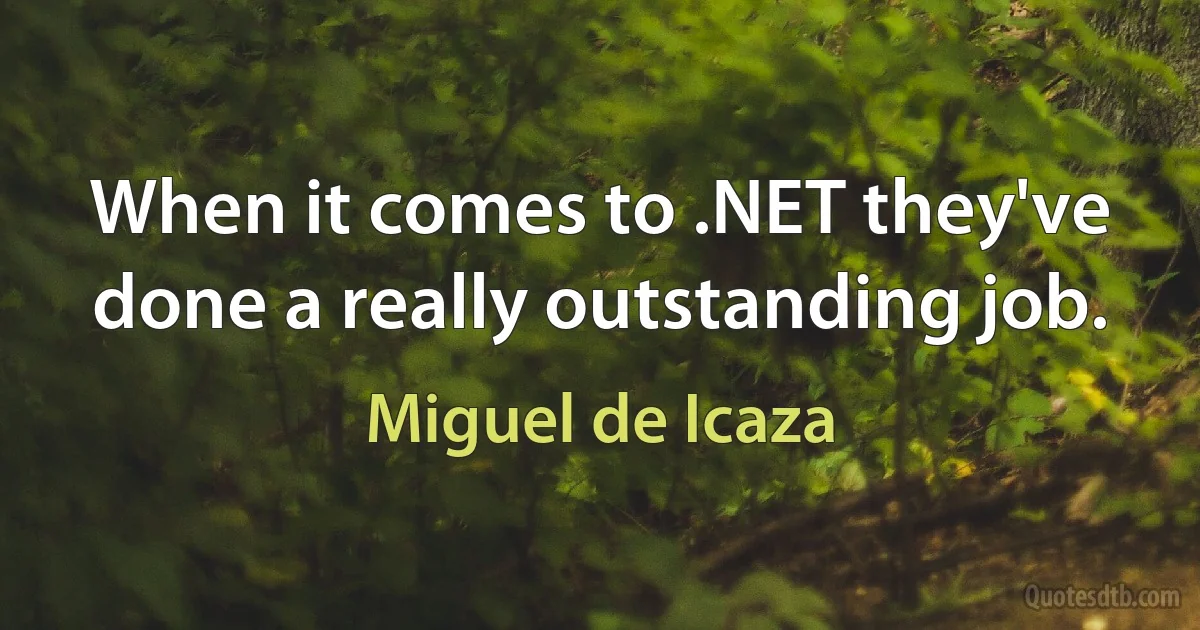 When it comes to .NET they've done a really outstanding job. (Miguel de Icaza)