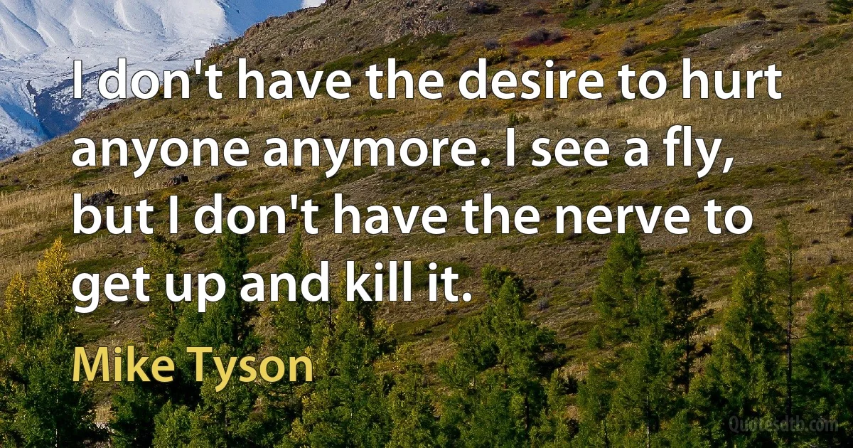 I don't have the desire to hurt anyone anymore. I see a fly, but I don't have the nerve to get up and kill it. (Mike Tyson)