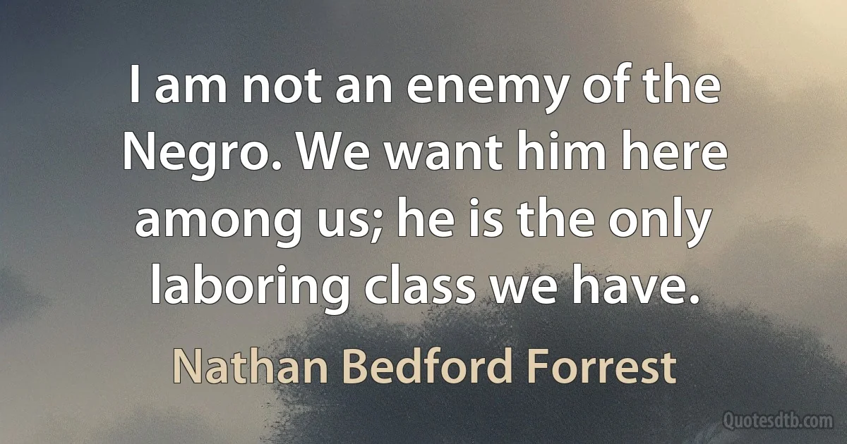 I am not an enemy of the Negro. We want him here among us; he is the only laboring class we have. (Nathan Bedford Forrest)