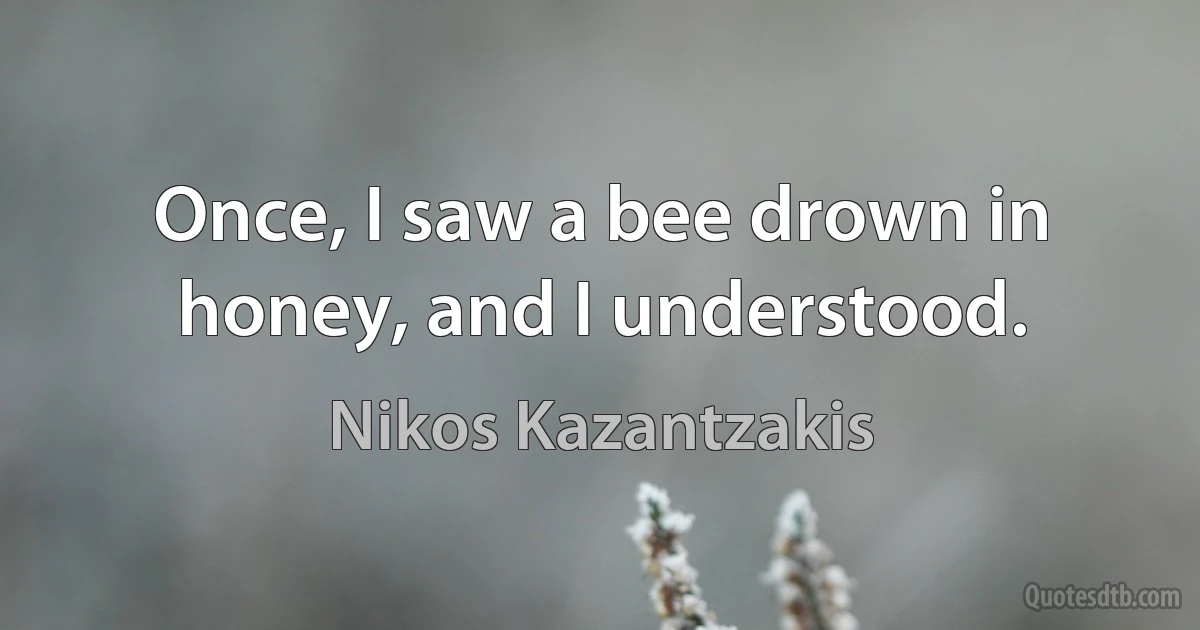 Once, I saw a bee drown in honey, and I understood. (Nikos Kazantzakis)