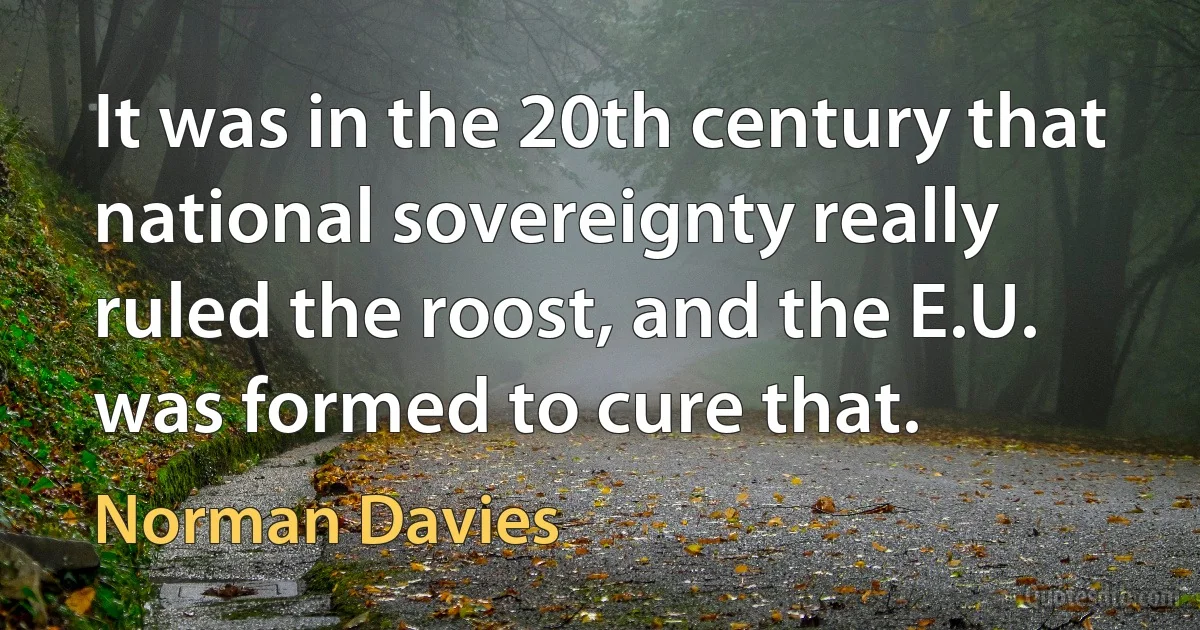 It was in the 20th century that national sovereignty really ruled the roost, and the E.U. was formed to cure that. (Norman Davies)