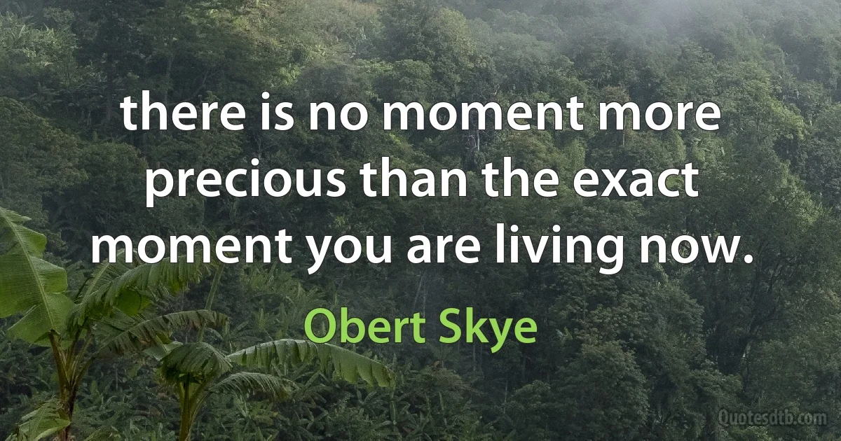 there is no moment more precious than the exact moment you are living now. (Obert Skye)