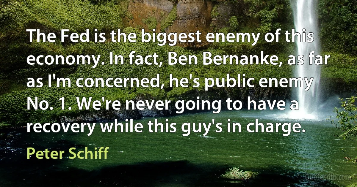 The Fed is the biggest enemy of this economy. In fact, Ben Bernanke, as far as I'm concerned, he's public enemy No. 1. We're never going to have a recovery while this guy's in charge. (Peter Schiff)