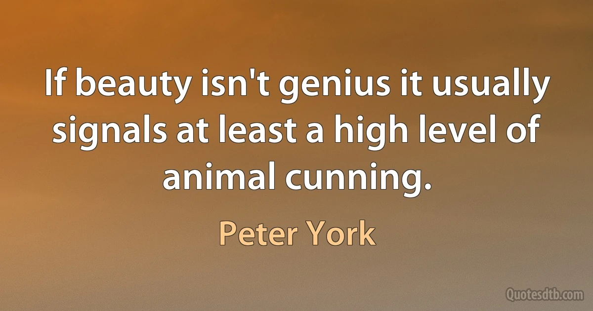 If beauty isn't genius it usually signals at least a high level of animal cunning. (Peter York)