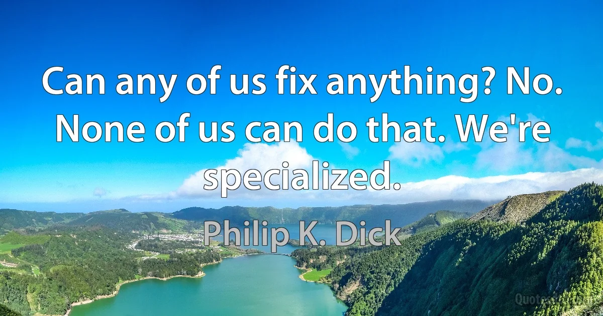 Can any of us fix anything? No. None of us can do that. We're specialized. (Philip K. Dick)