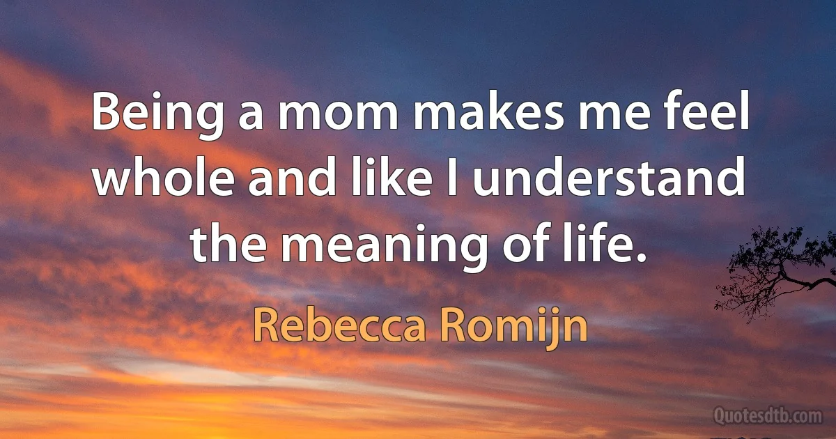 Being a mom makes me feel whole and like I understand the meaning of life. (Rebecca Romijn)