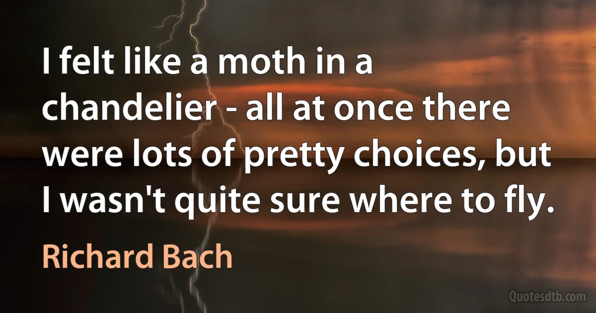 I felt like a moth in a chandelier - all at once there were lots of pretty choices, but I wasn't quite sure where to fly. (Richard Bach)