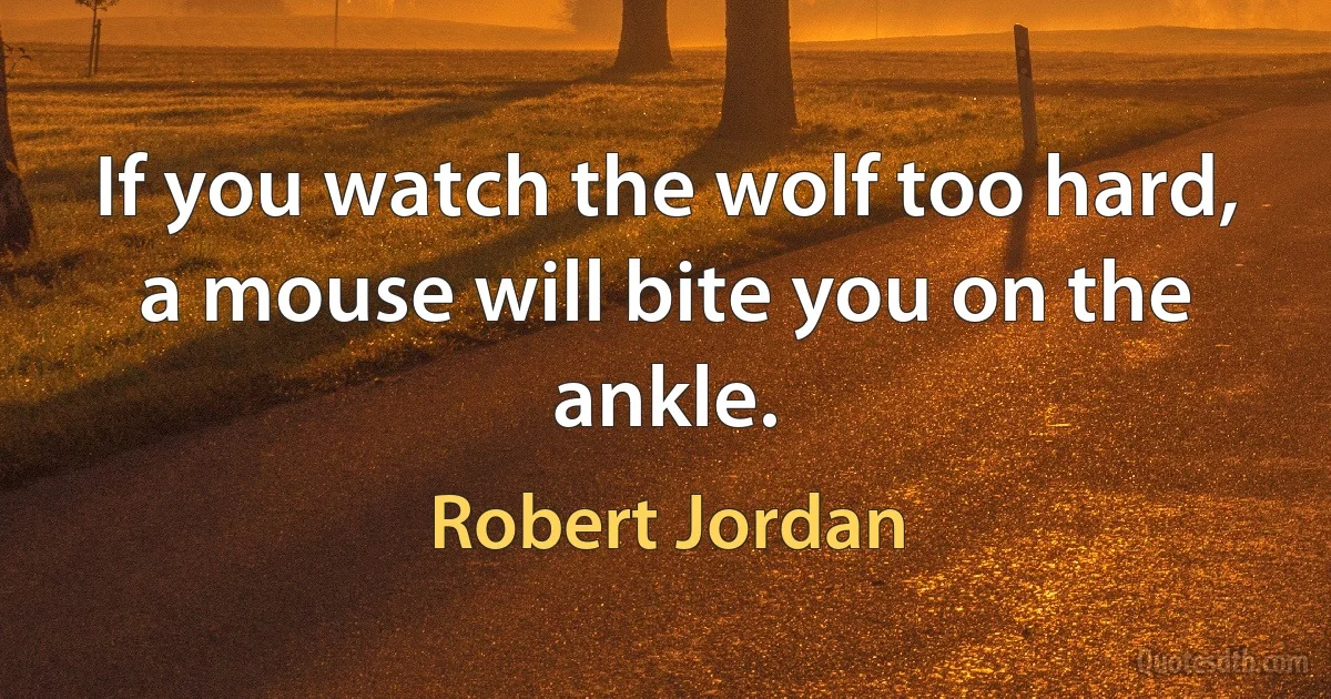 If you watch the wolf too hard, a mouse will bite you on the ankle. (Robert Jordan)