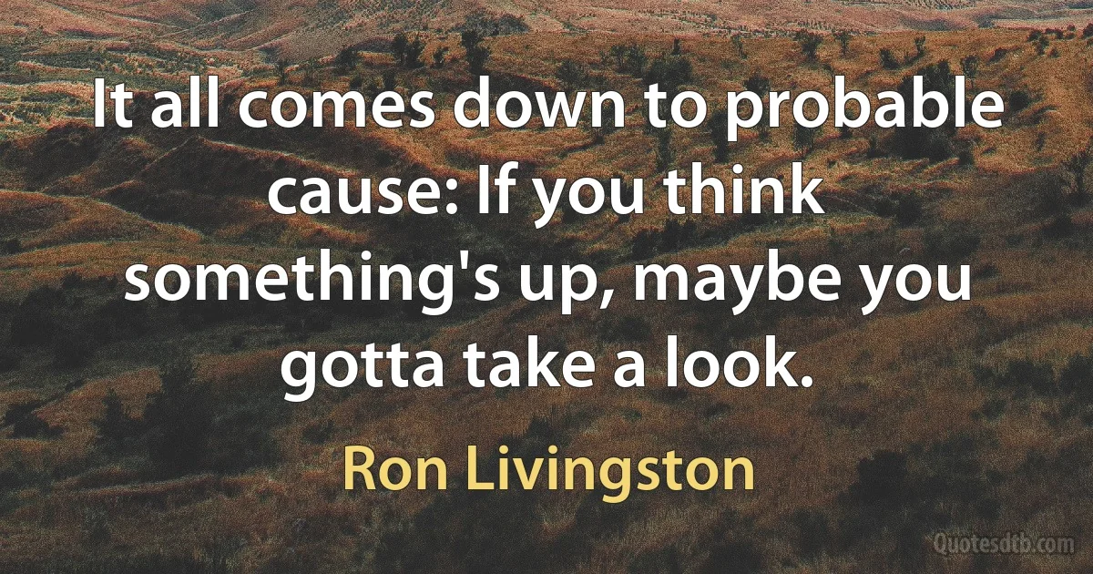 It all comes down to probable cause: If you think something's up, maybe you gotta take a look. (Ron Livingston)