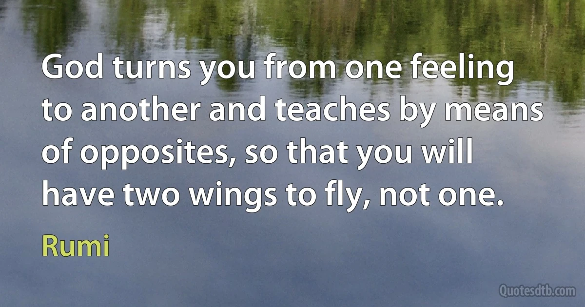 God turns you from one feeling to another and teaches by means of opposites, so that you will have two wings to fly, not one. (Rumi)