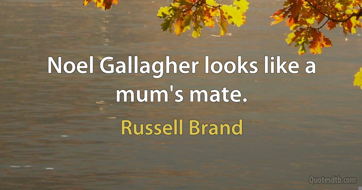 Noel Gallagher looks like a mum's mate. (Russell Brand)