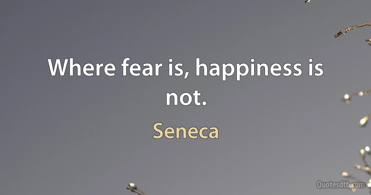 Where fear is, happiness is not. (Seneca)