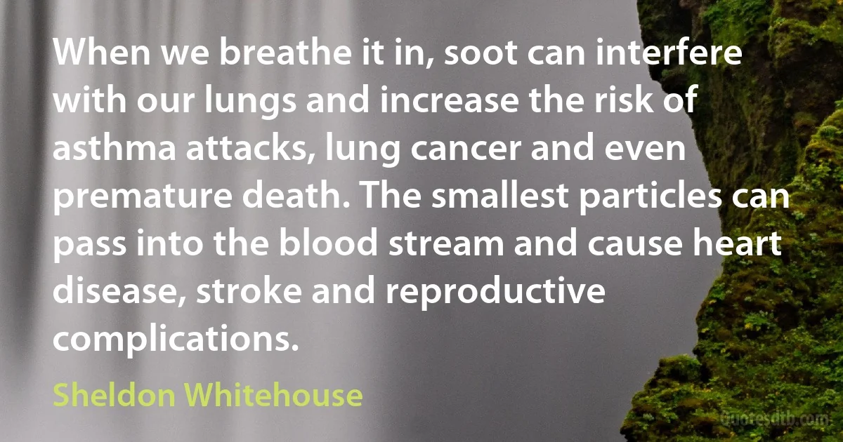 When we breathe it in, soot can interfere with our lungs and increase the risk of asthma attacks, lung cancer and even premature death. The smallest particles can pass into the blood stream and cause heart disease, stroke and reproductive complications. (Sheldon Whitehouse)