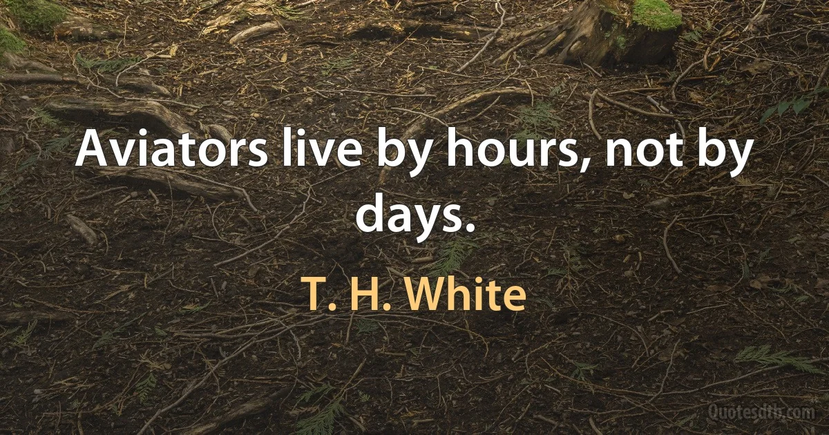 Aviators live by hours, not by days. (T. H. White)