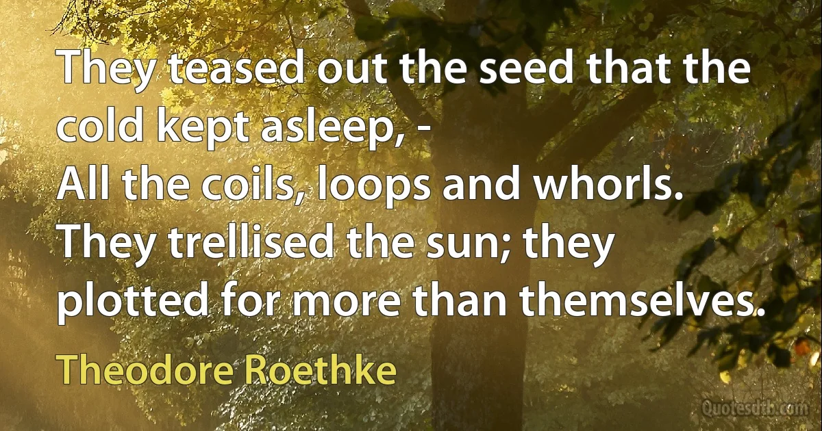 They teased out the seed that the cold kept asleep, -
All the coils, loops and whorls.
They trellised the sun; they plotted for more than themselves. (Theodore Roethke)