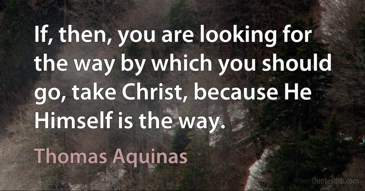 If, then, you are looking for the way by which you should go, take Christ, because He Himself is the way. (Thomas Aquinas)