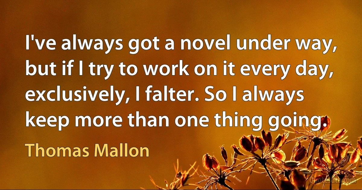 I've always got a novel under way, but if I try to work on it every day, exclusively, I falter. So I always keep more than one thing going. (Thomas Mallon)