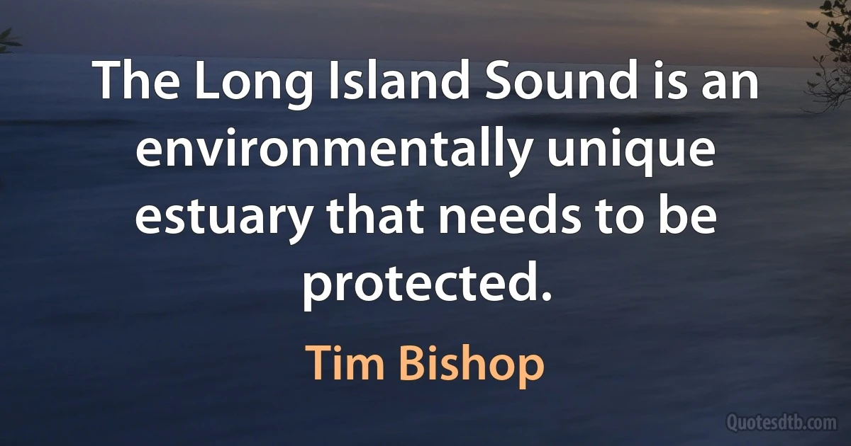 The Long Island Sound is an environmentally unique estuary that needs to be protected. (Tim Bishop)