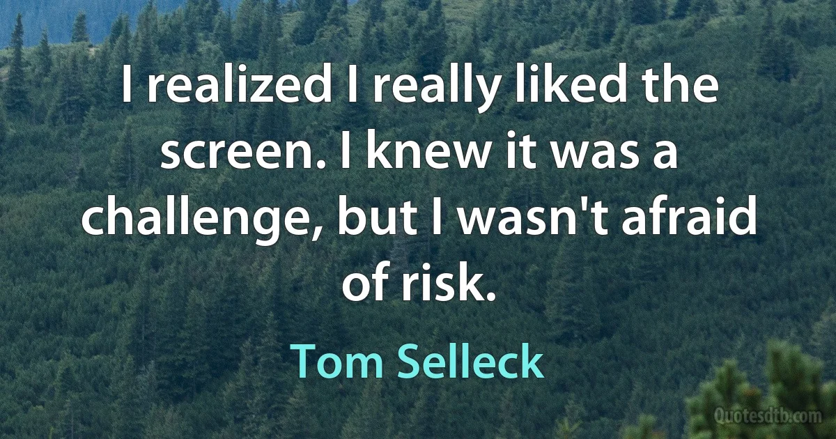 I realized I really liked the screen. I knew it was a challenge, but I wasn't afraid of risk. (Tom Selleck)