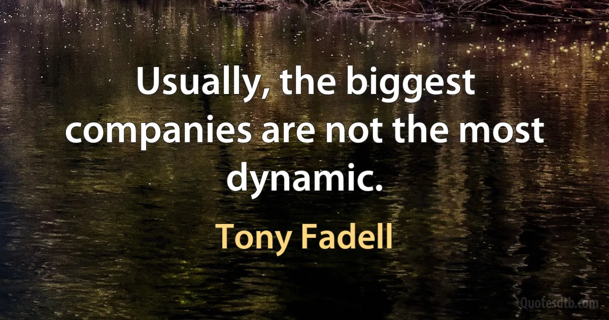 Usually, the biggest companies are not the most dynamic. (Tony Fadell)