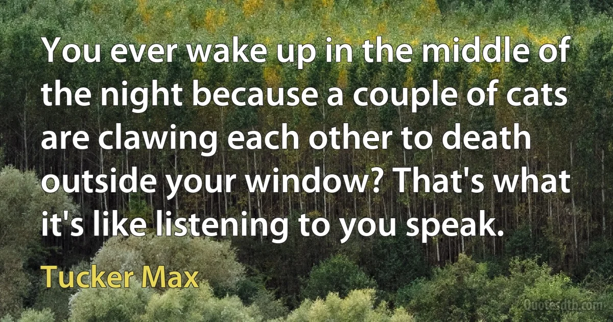 You ever wake up in the middle of the night because a couple of cats are clawing each other to death outside your window? That's what it's like listening to you speak. (Tucker Max)