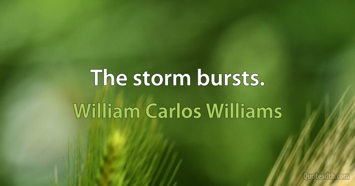 The storm bursts. (William Carlos Williams)