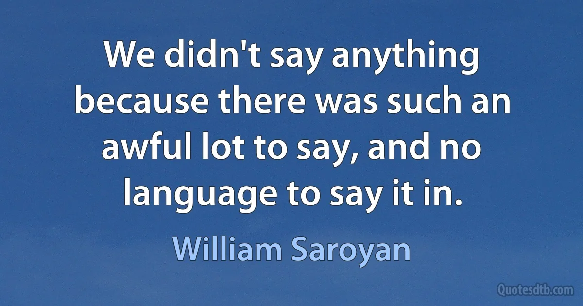 We didn't say anything because there was such an awful lot to say, and no language to say it in. (William Saroyan)