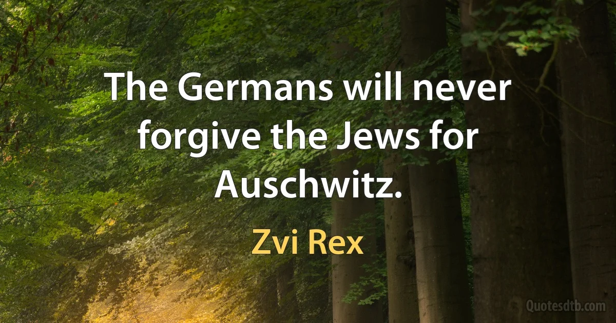 The Germans will never forgive the Jews for Auschwitz. (Zvi Rex)