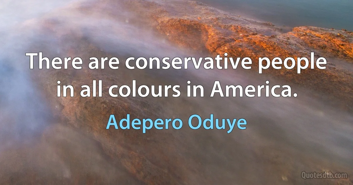 There are conservative people in all colours in America. (Adepero Oduye)