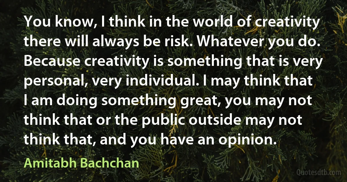 You know, I think in the world of creativity there will always be risk. Whatever you do. Because creativity is something that is very personal, very individual. I may think that I am doing something great, you may not think that or the public outside may not think that, and you have an opinion. (Amitabh Bachchan)